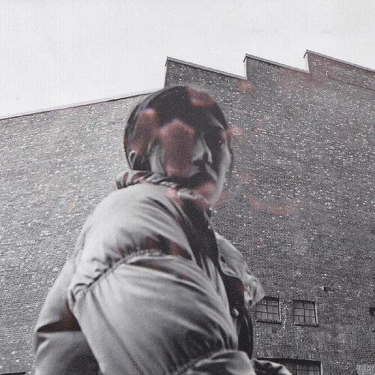 Aldous Harding: Warm Chris - VINYL LP