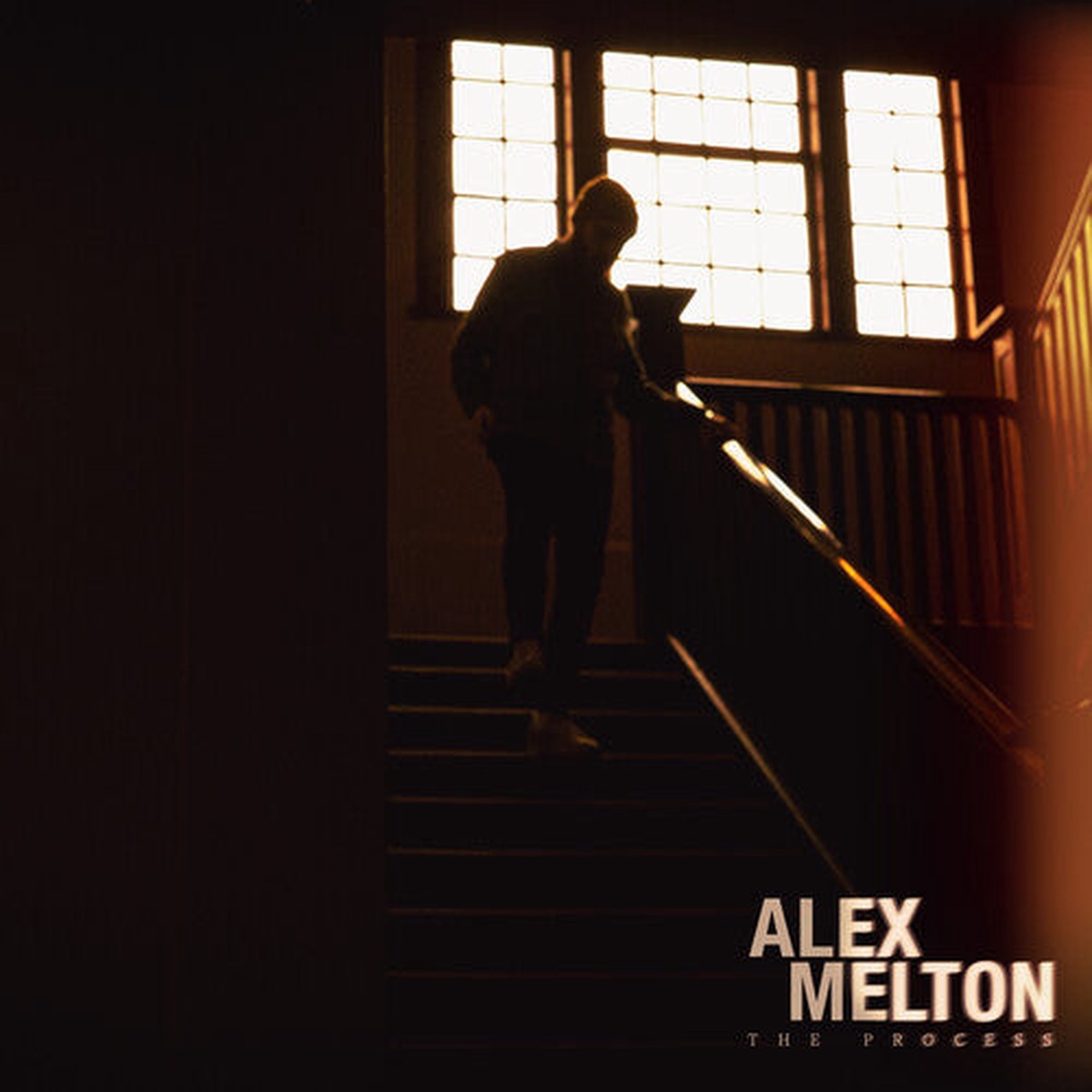 Alex Melton: The Process - VINYL LP