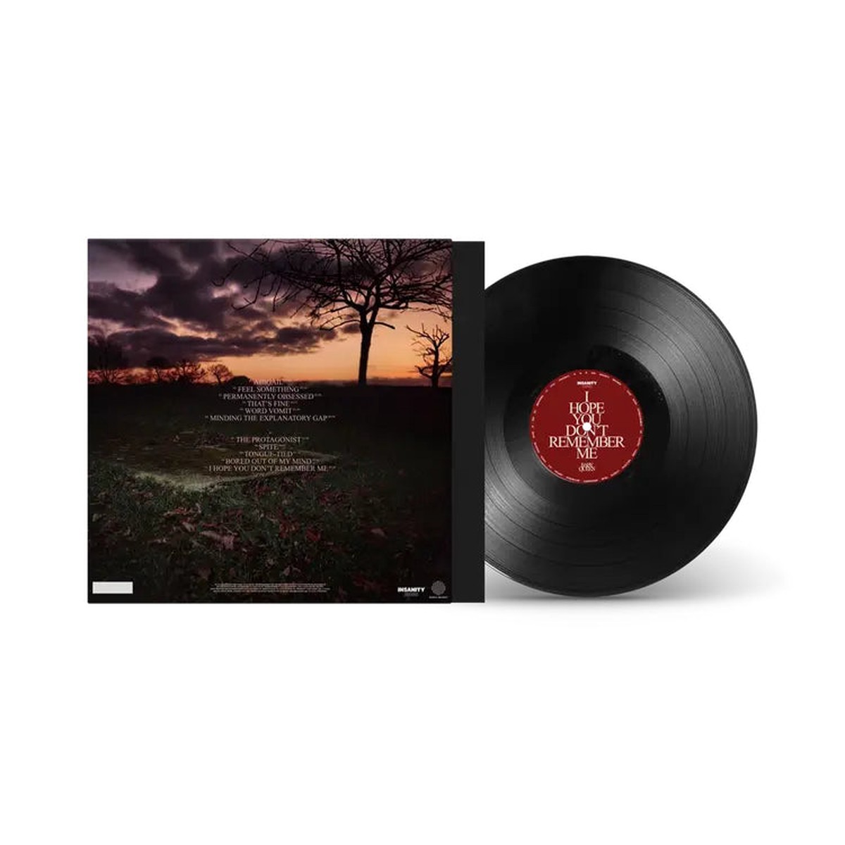 I Hope You Dont Remember Me: Black Vinyl LP