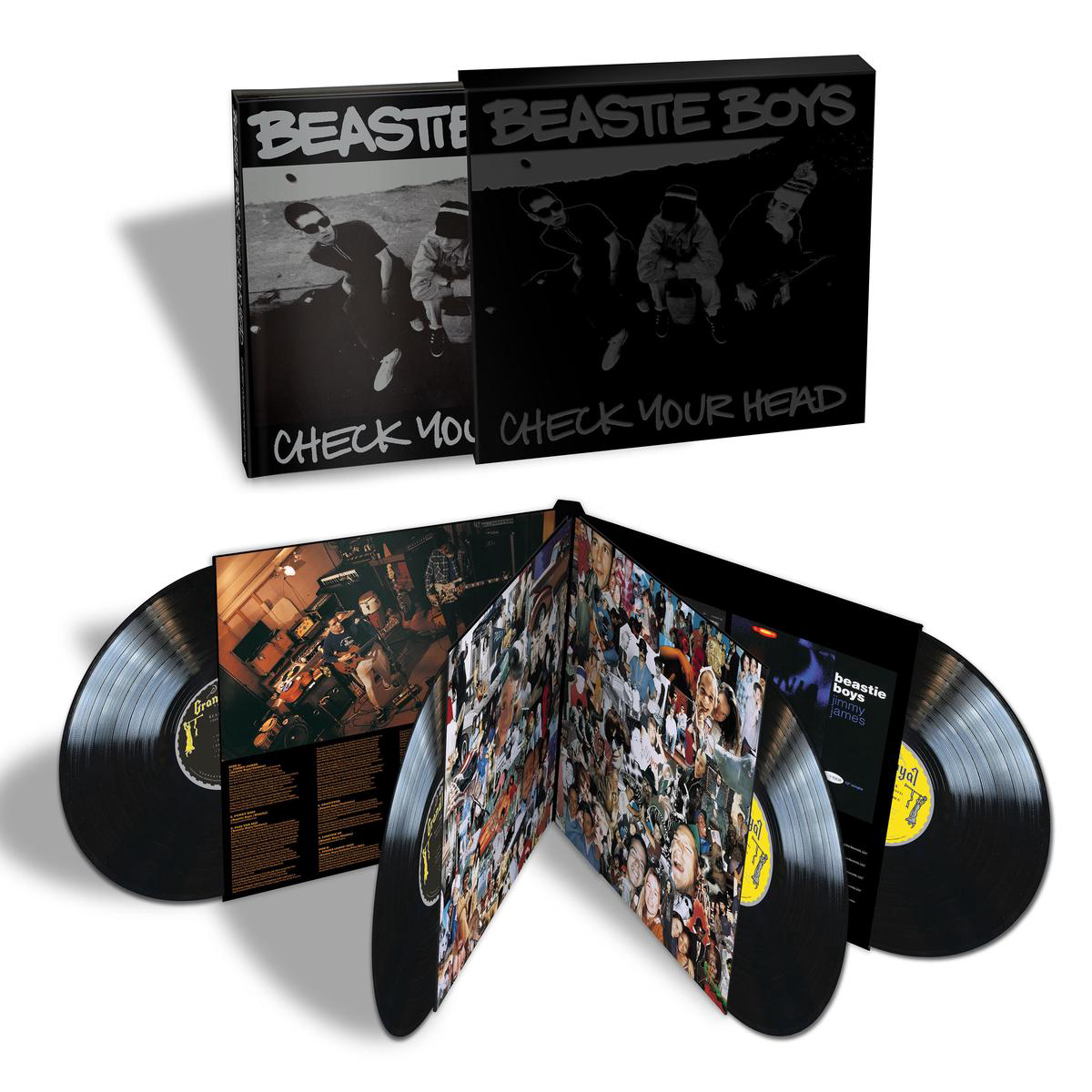 Check Your Head Vinyl 4LP