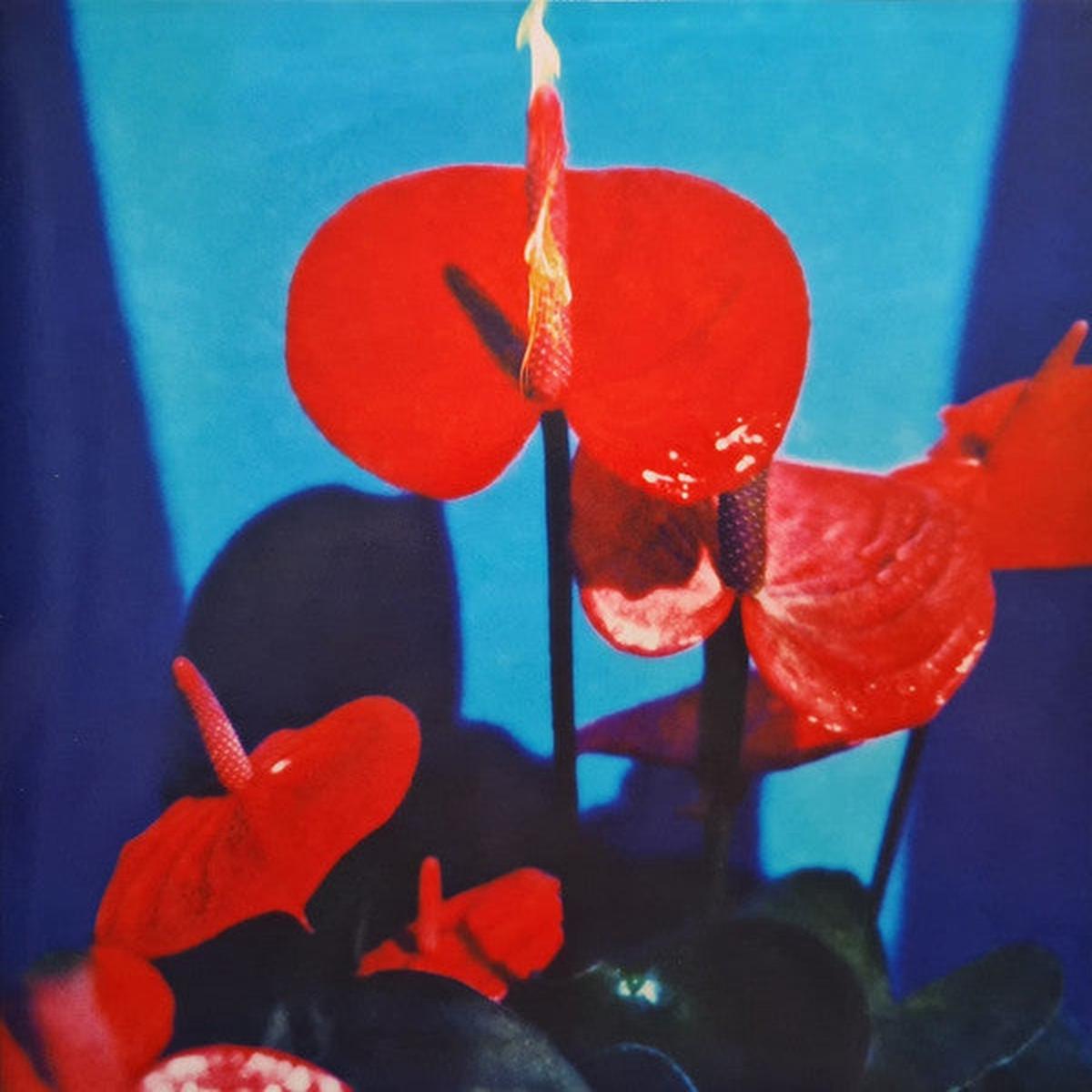 INHALER - OPEN WIDE : RED MARBLE VINYL - LP