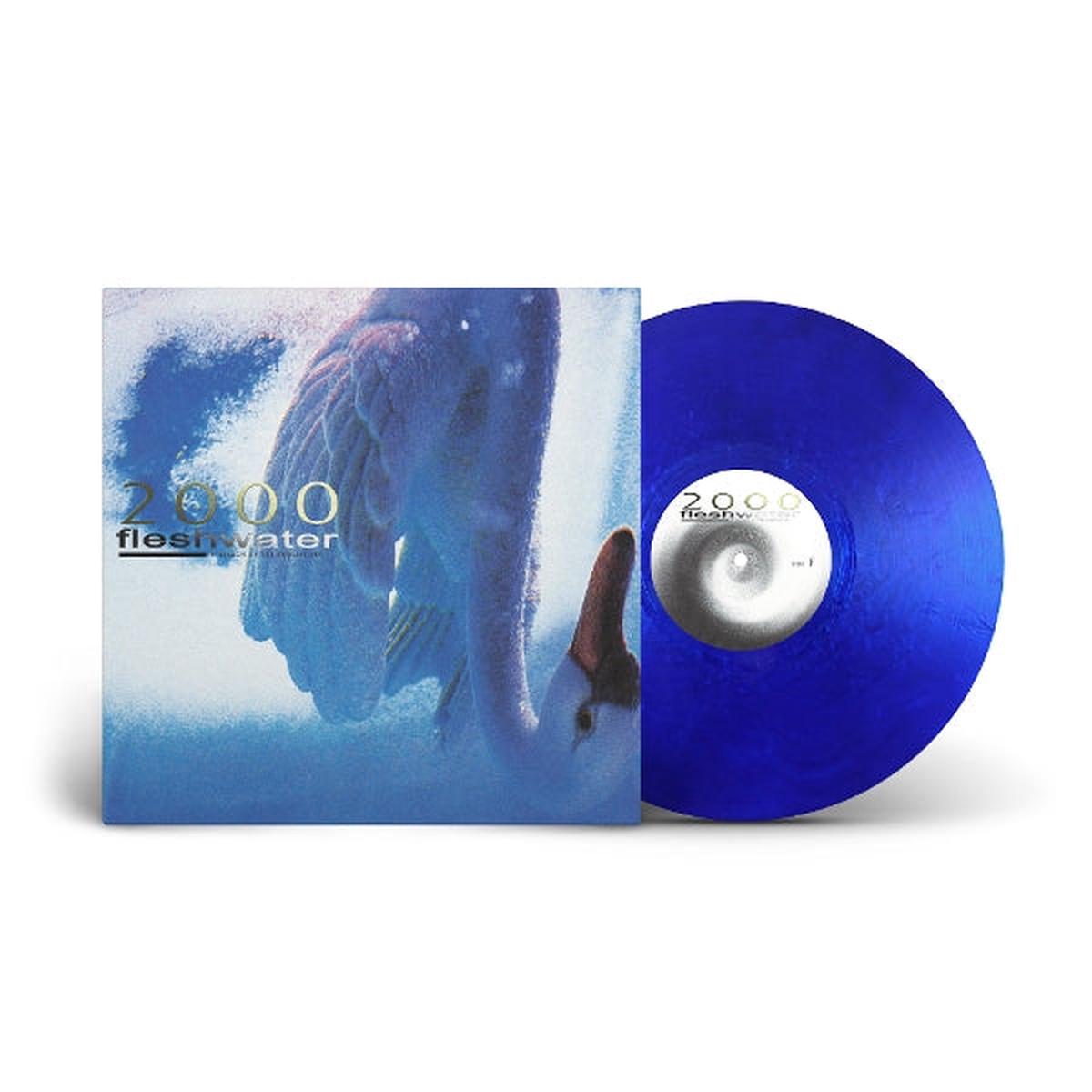 Fleshwater - 2000: In Search of the Endless Sky (LP)