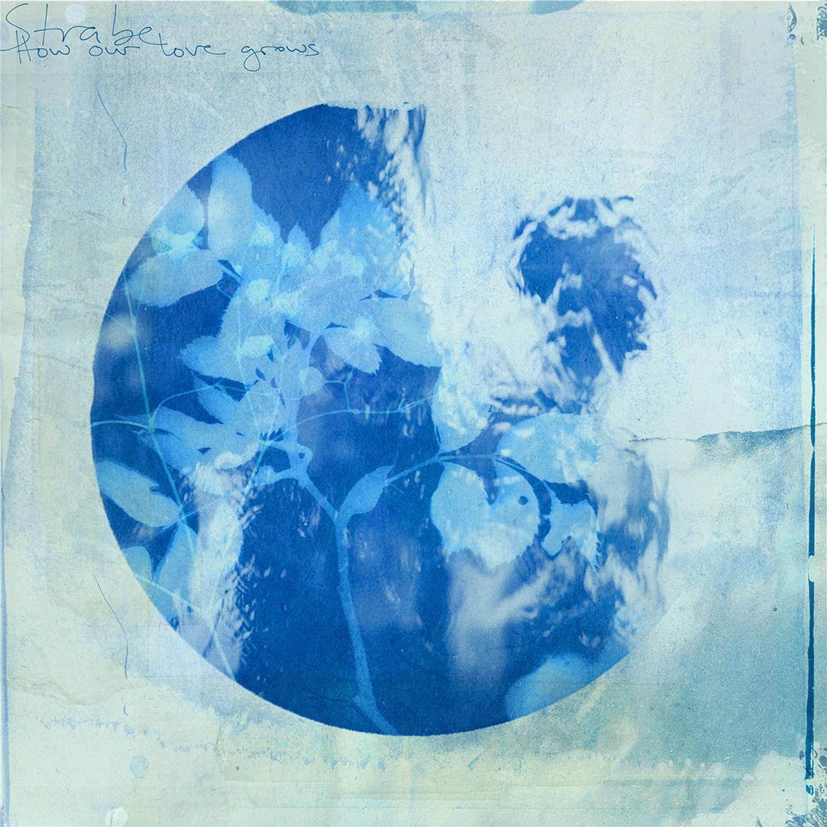 How Our Love Grows: Vinyl LP