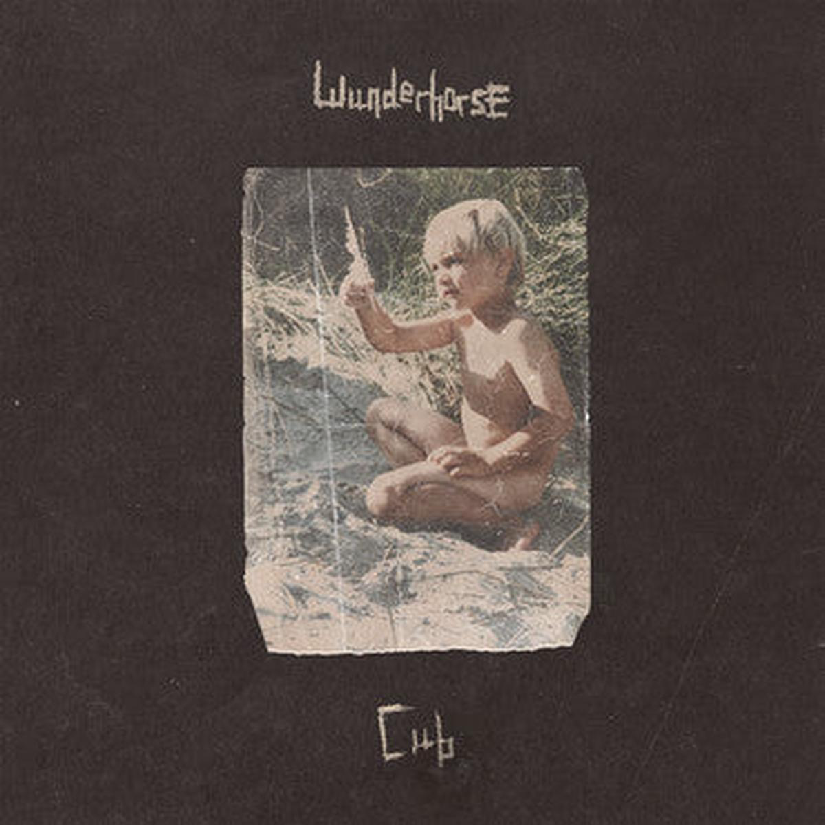WUNDERHORSE 8211 CUB BLACK VINYL 8211 LP