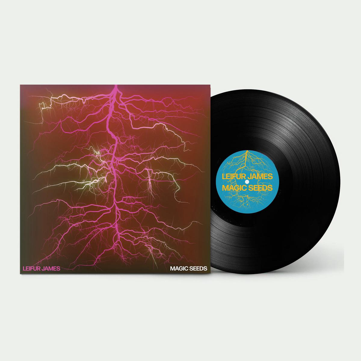 Magic Seeds Vinyl LP