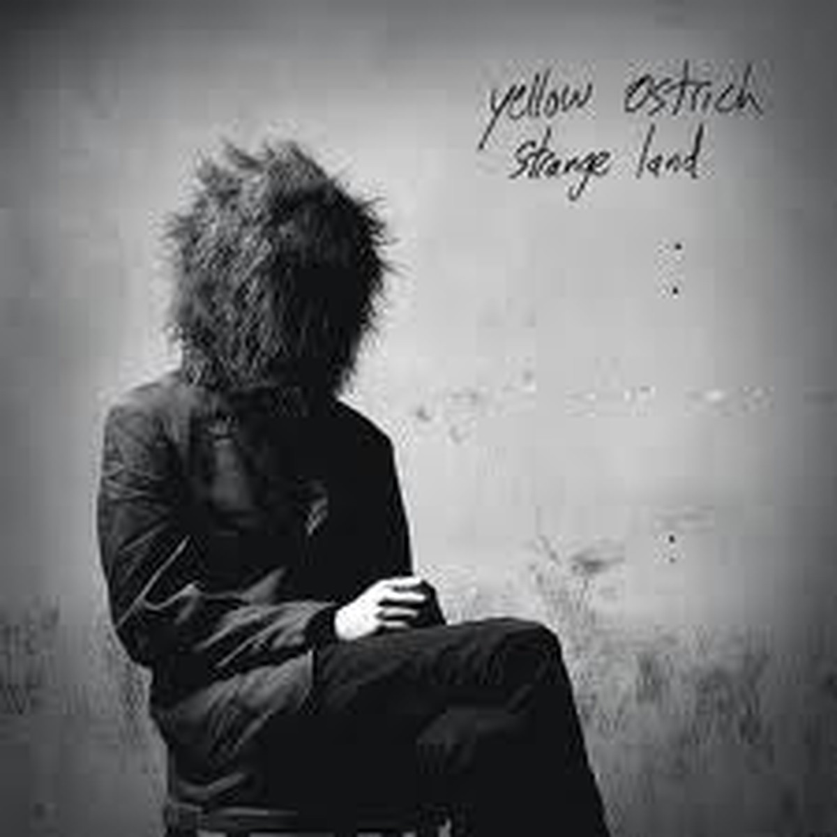YELLOW OSTRICH - STRANGE LAND - LP