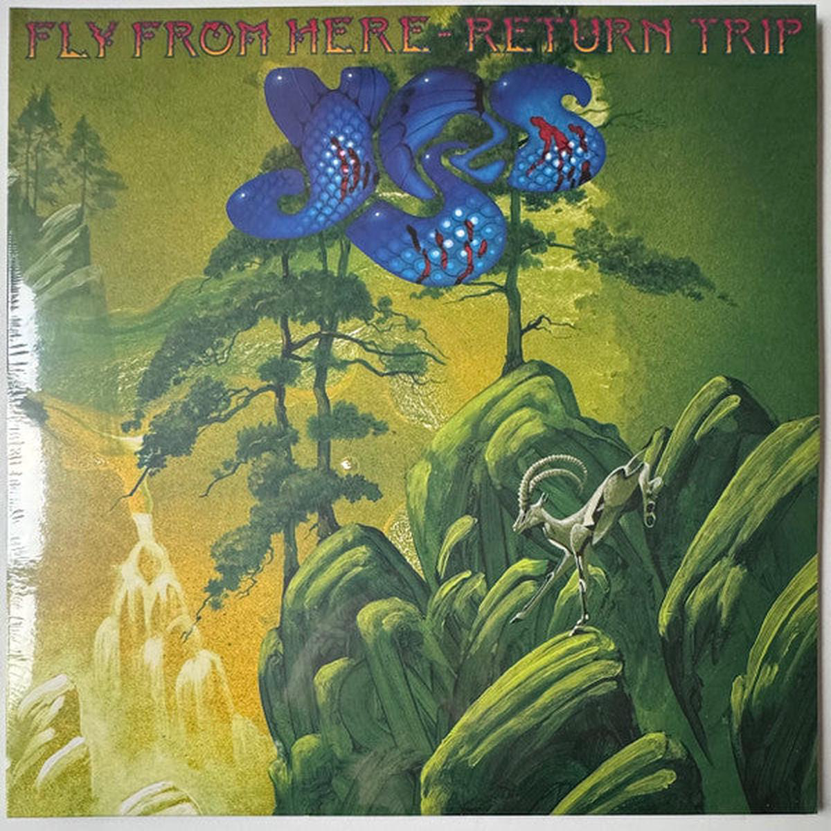 YES 8211 FLY FROM HERE (RETURN TRIP) 2025 8211 LP