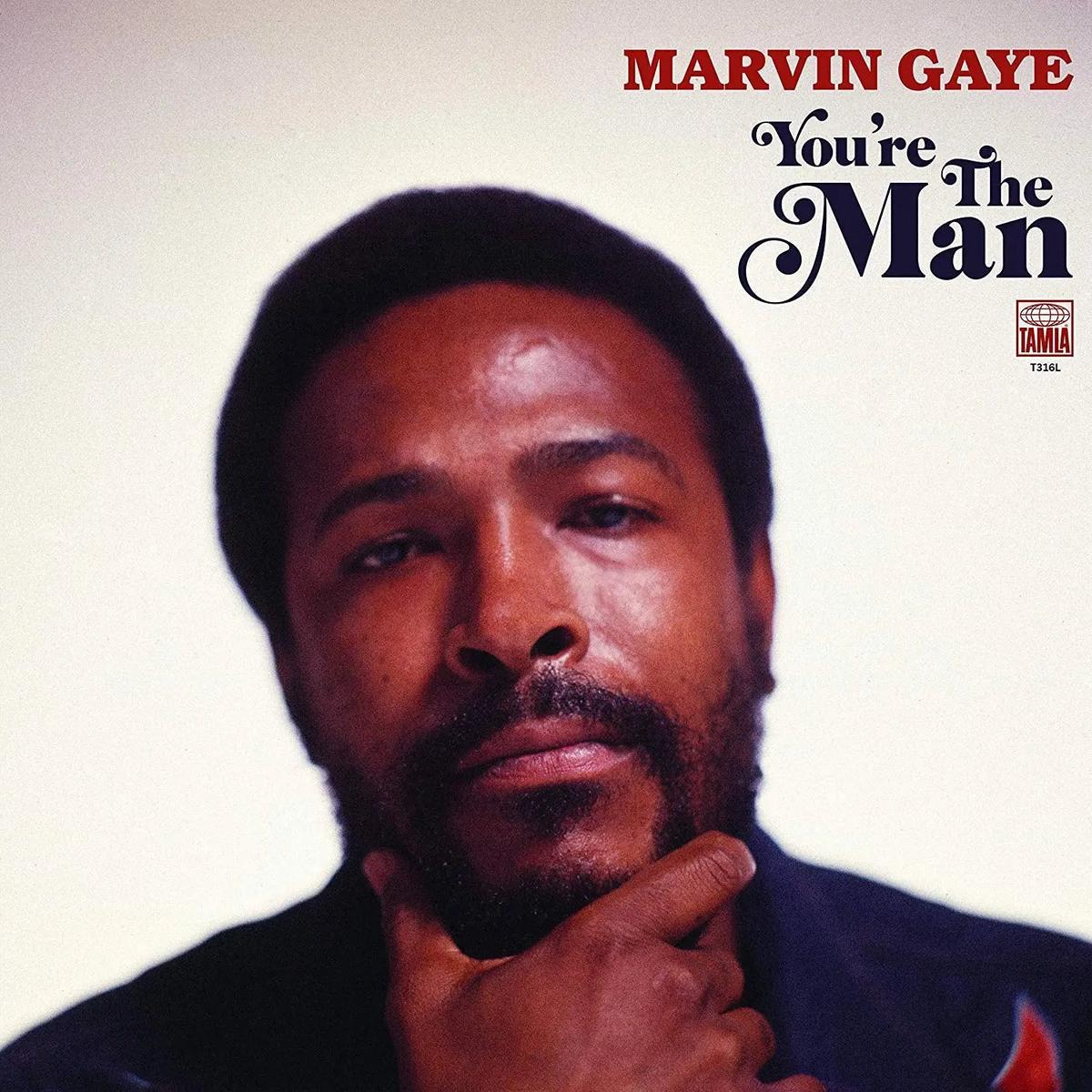 You're The Man [Vinyl]