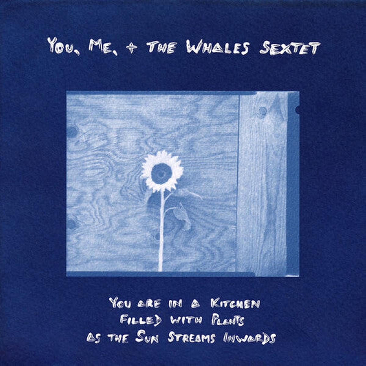 (PRESALE 6/5/26) You are in a Kitchen Filled with Plants as the Sun... (VINYL) | Mint (M) Mint (M) - - JAZZ *NEW*